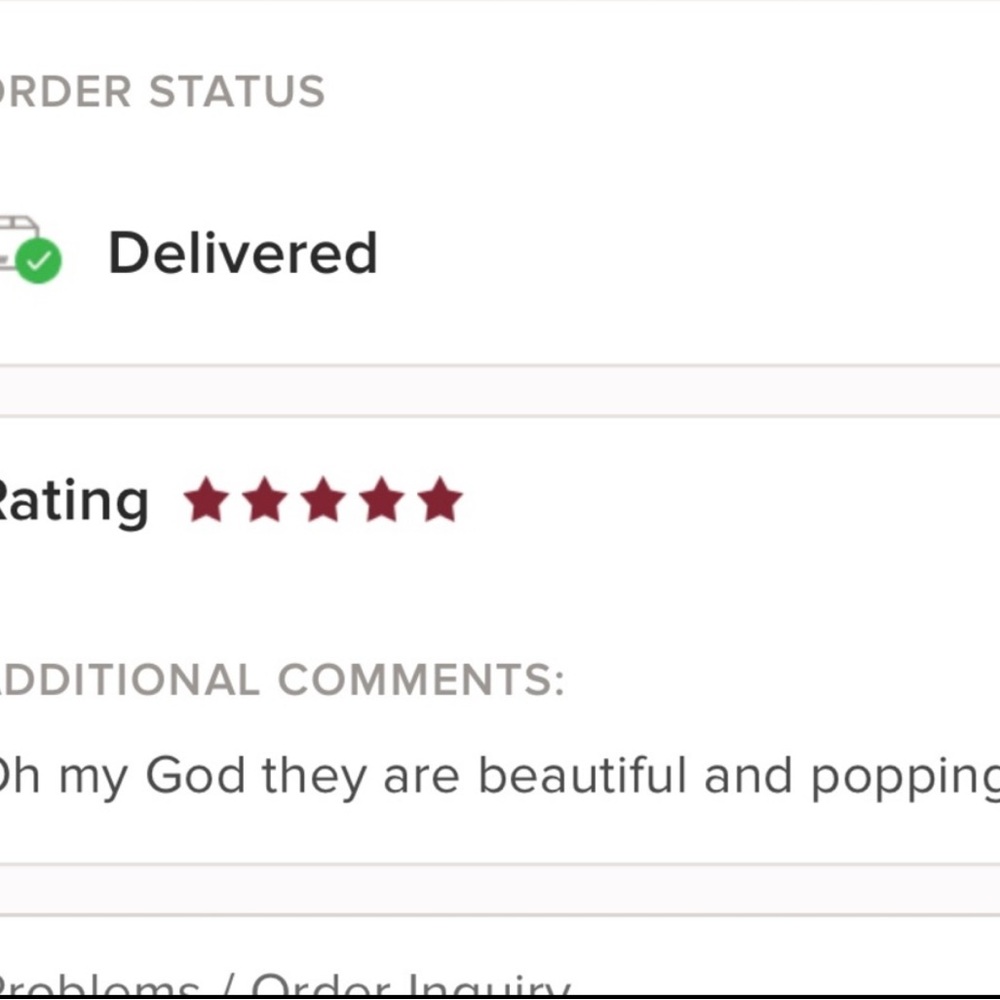 3.5ct Pink Sapphire Radiant Cut Earrings - Picture 13 of 13